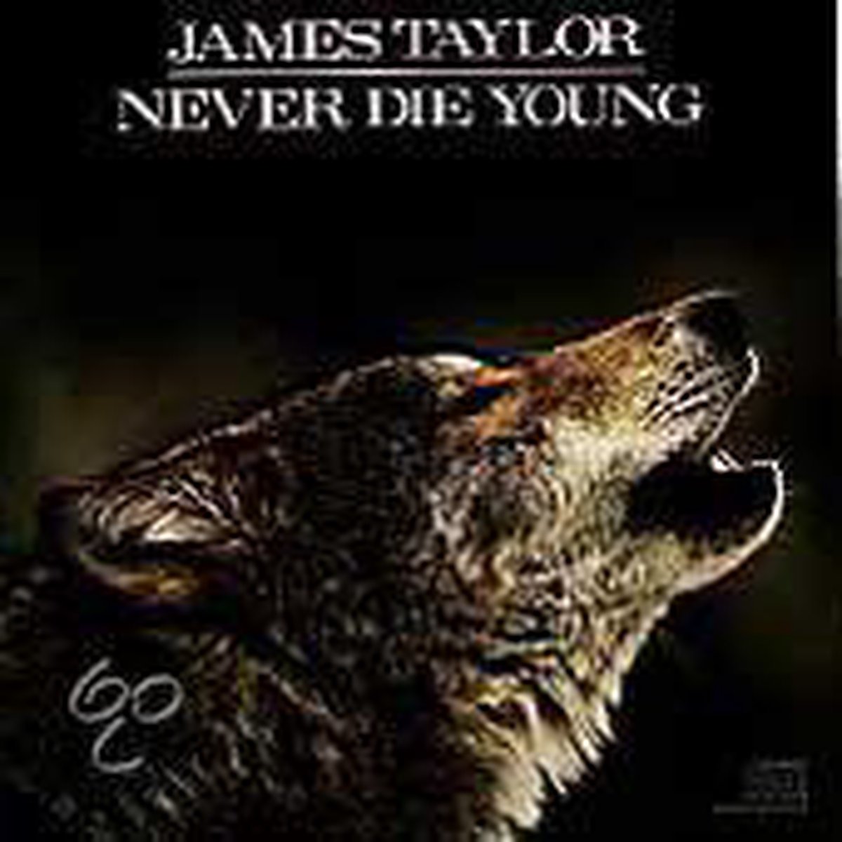 Never Die Young