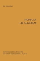 Modular Lie Algebras