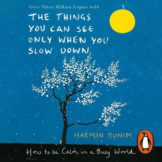the things you can see only when you slow down by haemin sunim