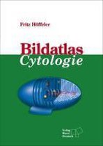 Bildatlas Cytologie