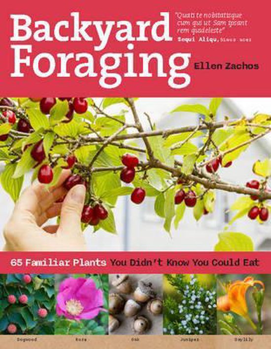 Backyard Foraging - cover