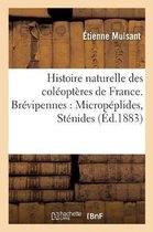 Histoire Naturelle Des Coleopteres de France. Brevipennes