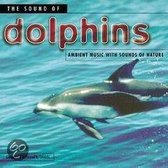 Sound Of Dolphins