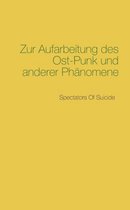 Zur Aufarbeitung des Ost-Punk und anderer Phanomene