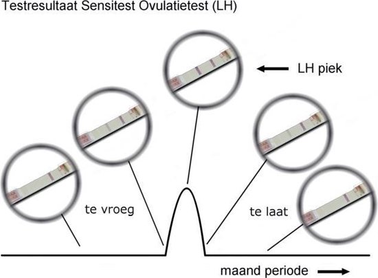 ovulatietest dipstick 12 stuks
