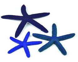 Biorb zeester set - blauw