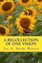 A Recollection of One Vision