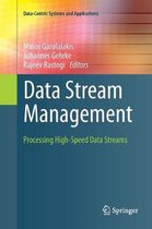 Data-Centric Systems and Applications- Data Stream Management