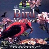 Bird Meadow