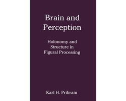 Brain and Perception