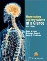 At a Glance - Neuroanatomy and Neuroscience at a Glance