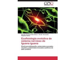 Foto: 