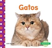 Gatos (Cats)