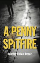A Penny Spitfire