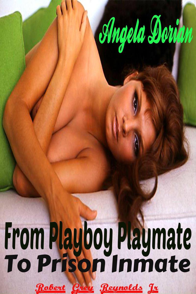 Playboy Centerfold Porn Pix Analplug