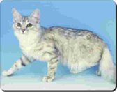 Tapis de souris chat sibérien