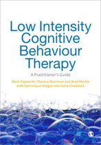 Low Intensity Cognitive-Behaviour Therapy