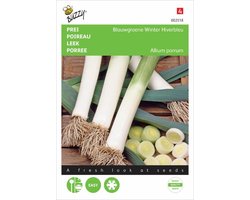 Buzzy® Prei Blauwgroene Winter, Hiverbleu