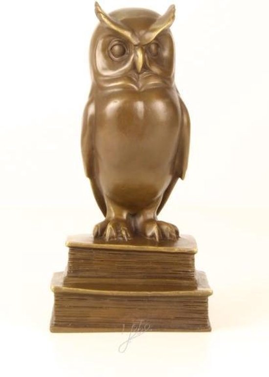 Bronzen beeld Wijsheid Uil