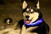 LED Verlichte Hondenhalsband - Blauw - Maat S - Veilig voor je hond in het donker