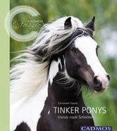 Tinker Ponys
