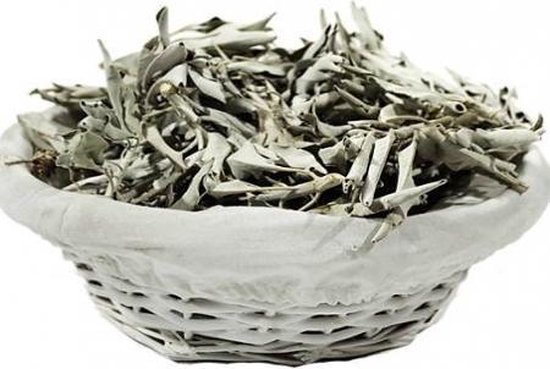 Wierook Witte Salie (Salvia Apiana) 150 gram