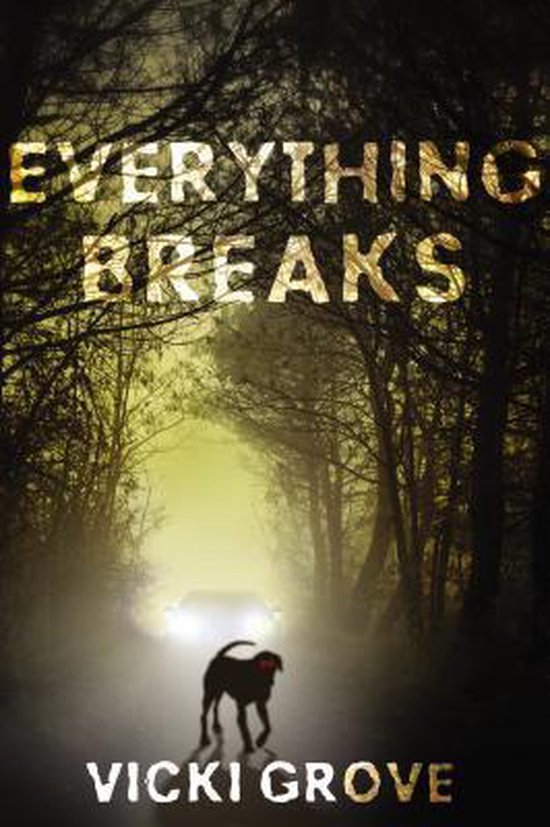 Everything Breaks 9780399250880 Vicki Grove Boeken bol