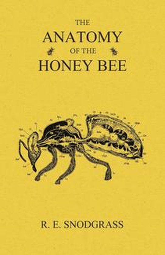 The Anatomy of the Honey Bee - cover