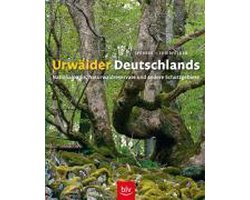 Urwälder Deutschlands