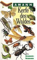 Kerfe des Waldes