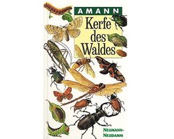 Kerfe des Waldes