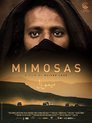 Mimosas (DVD)