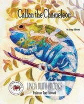 Callan the Chameleon