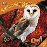See How They Grow: Owl [With Stickers]