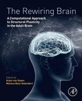 The Rewiring Brain