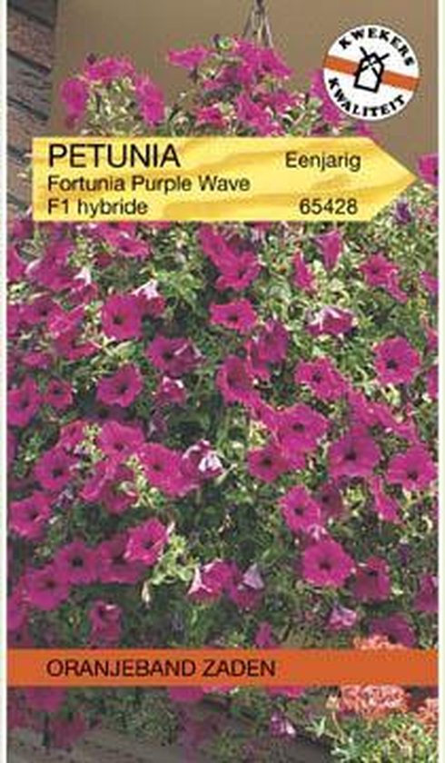 Oranjebandzaden - Petunia Purple Wave F1, Fortunia serie