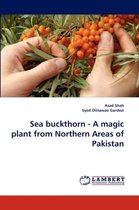 Sea Buckthorn - A Magic Plant from Northern Areas of Pakistan