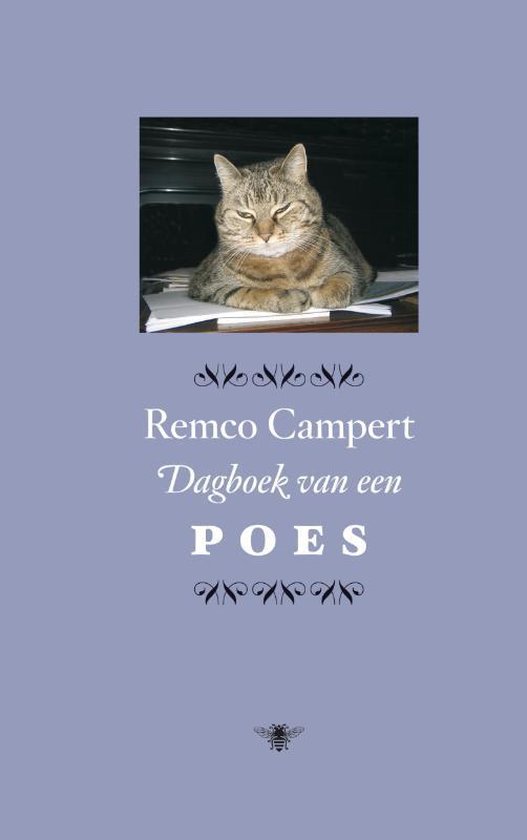 Een gestreepte kat zit op papieren voor een piano.