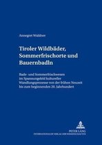 Tiroler Wildbaeder, Sommerfrischorte Und Bauernbadln