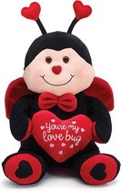 valentijn lieveheers beestje 'you're my love bug'