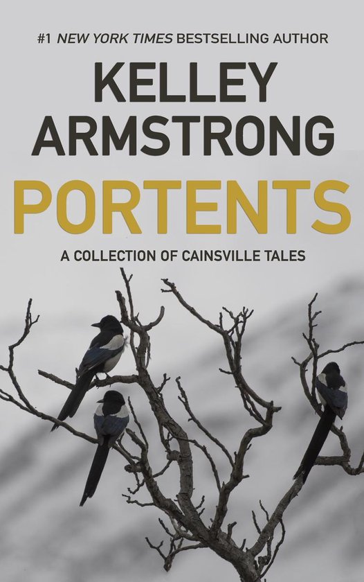 Cainsville 6 - Portents - cover