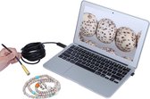 USB Endoscoop Inspectie Camera - HD Mini Boroscoop Waterdicht Met LED Verlichting Waterdicht - 5 Meter