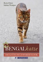 Katzen - Bengalkatze