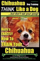 Chihuahua Dog Training - Think Like a Dog...But Don't Eat Your Poop!