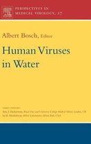 Human Viruses in Water