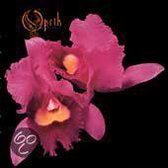 Orchid =Ltd=