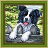 Diamond Painting Bordercollie