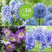 50x Bollenmix 'Blue Collection' - Muscari + Anemone + Hyacinthus + Allium - Blauwe bloemen  - Vroegbloeiers - 50 bloembollen