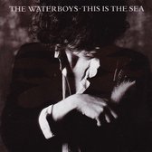 The Waterboys  This is the sea