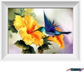 Artstudioclub®  Diamond painting volwassenen volledige bedekking 30x40cm Kolibrie